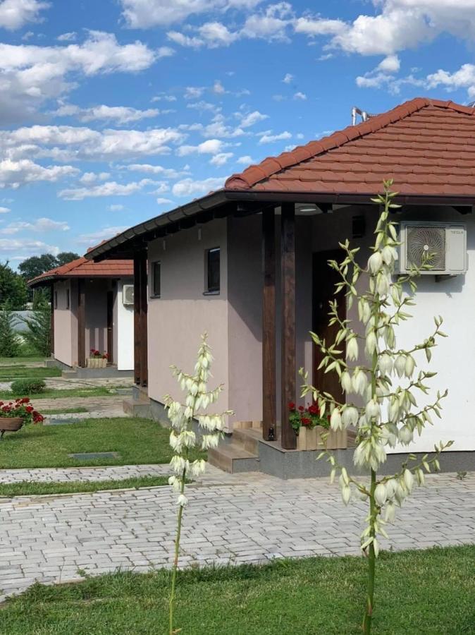 Konak Nestor Bungalows สโกเปีย ภายนอก รูปภาพ